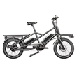 Load image into Gallery viewer, Gepida Cargo City E-Bike (ex demo)