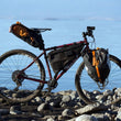 Load image into Gallery viewer, Blackburn Outpost Frame Bag