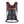 Load image into Gallery viewer, EVOC - RIDE 12 + 2L BLADDER CARBON GREY/BLACK
