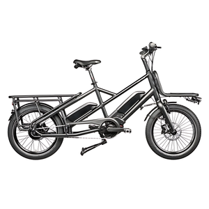 Gepida Cargo City E-Bike (ex demo)
