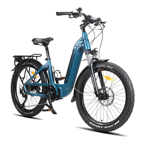 Smartmotion X-City Neo 24"