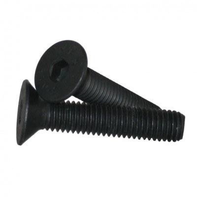 PFP313411